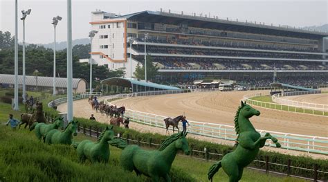 Seoul Racecourse Tips .